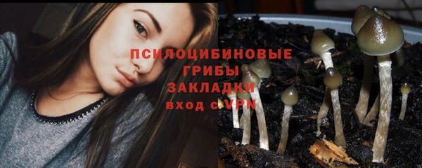 a pvp Абинск