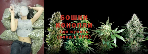 прущий лед Абаза