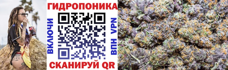 Конопля White Widow Людиново